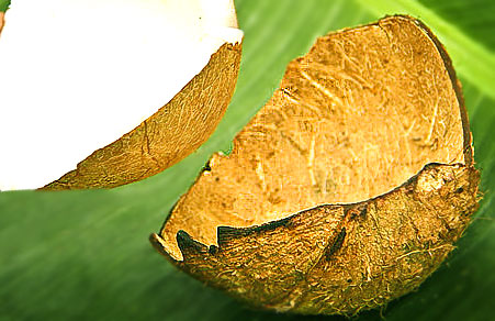 мякоть кокоса легко отделить после запекания в духовке или в микроволновке