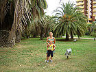 Парк Ривьера - фото - по пути из парка - с пышными пальмами