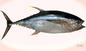 тунец богат белками
