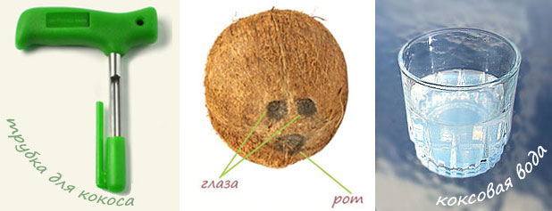 как расколоть кокос — целая наука