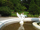 Дендрарий в Сочи - фонтан с царевной - лебедь