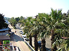 Лазаревское - частные фото - улица с пальмами