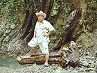 берендеево царство - фото - Ваня на дереве